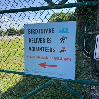 Save Our Seabirds - Animal Shelters Near Me - Sarasota, Florida Save Our Seabirds - Animal Shelters Near Me - Sarasota, Florida