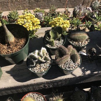 Hunter's Nursery - Nurseries & Gardening Near Me - Lemon Grove, California Hunter's Nursery - Nurseries & Gardening Near Me - Lemon Grove, California