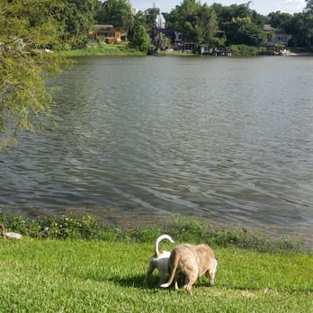 Loch Haven Park - His buddy - Parks Near Me - Orlando, Florida