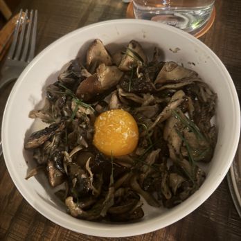 Lumbre - Mushrooms - Spanish Near Me - Tampa, Florida
