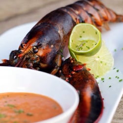Restaurant Hudson - Lobster soup