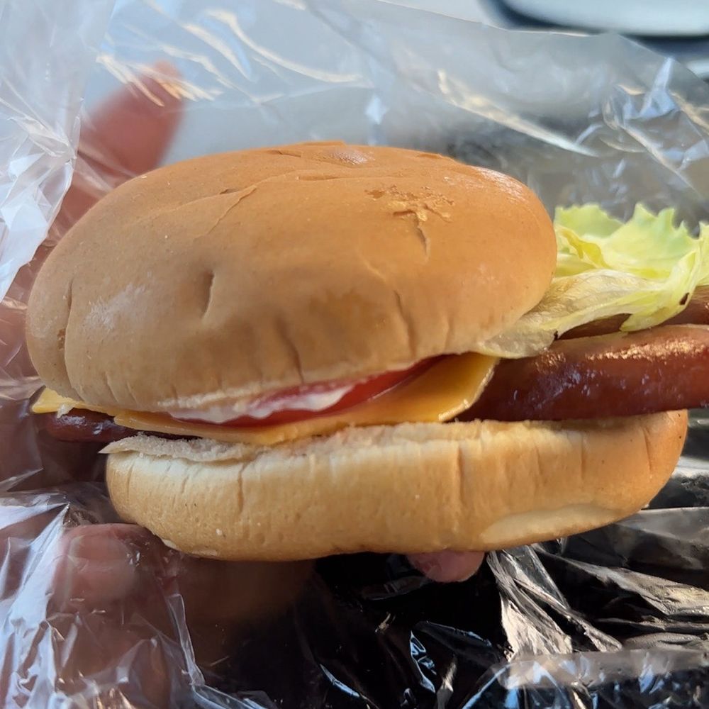 Doumar's Cones & Barbecue - Hot Dog - Barbeque Near Me - Norfolk, Virginia