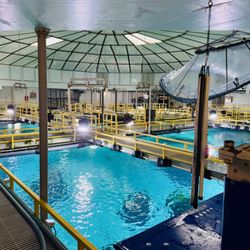 Oceanário de Lisboa