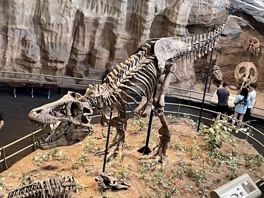 Carnegie Museum of Natural History by null