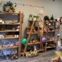 Photo of Eimy's Store