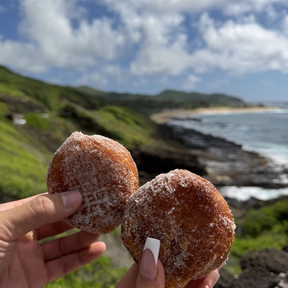 Island and You - Bus Tours Near Me - Honolulu, Hawaii Island and You - Bus Tours Near Me - Honolulu, Hawaii