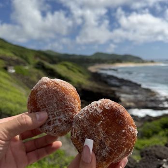 Island and You - Bus Tours Near Me - Honolulu, Hawaii