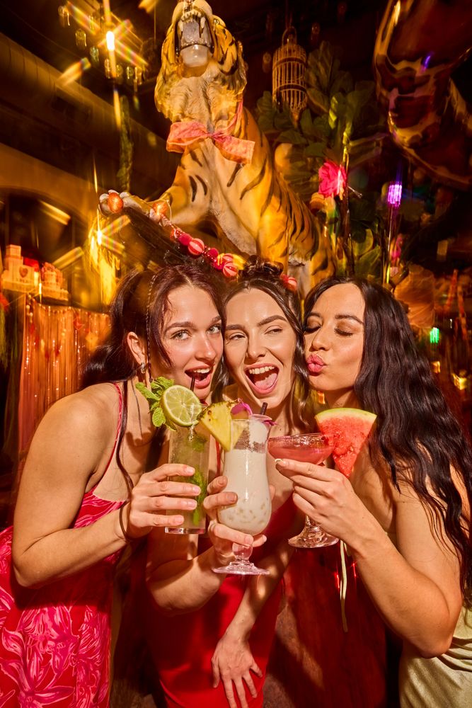 Shipwrecked Paradise Island