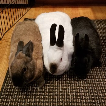 Rabbit Hole Hay - Pet Stores Near Me - Chico, California