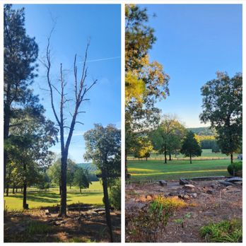 Smith Site Services - Got a rotten or annoying tree? Let us axe it a few questions. - Fences & Gates Near Me Smith Site Services - Got a rotten or annoying tree? Let us axe it a few questions. - Fences & Gates Near Me