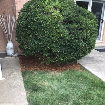 Christy Webber Chicago, IL - Last Updated October 2020 - Yelp