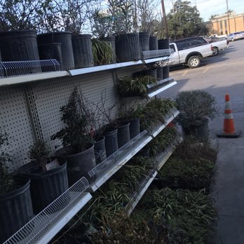 Austin Habitat for Humanity ReStore - Plants that I used to pay $1 for at their east Austin location now are $5 and up - Hardware Stores Near Me - Austin, Texas Austin Habitat for Humanity ReStore - Plants that I used to pay $1 for at their east Austin location now are $5 and up - Hardware Stores Near Me - Austin, Texas
