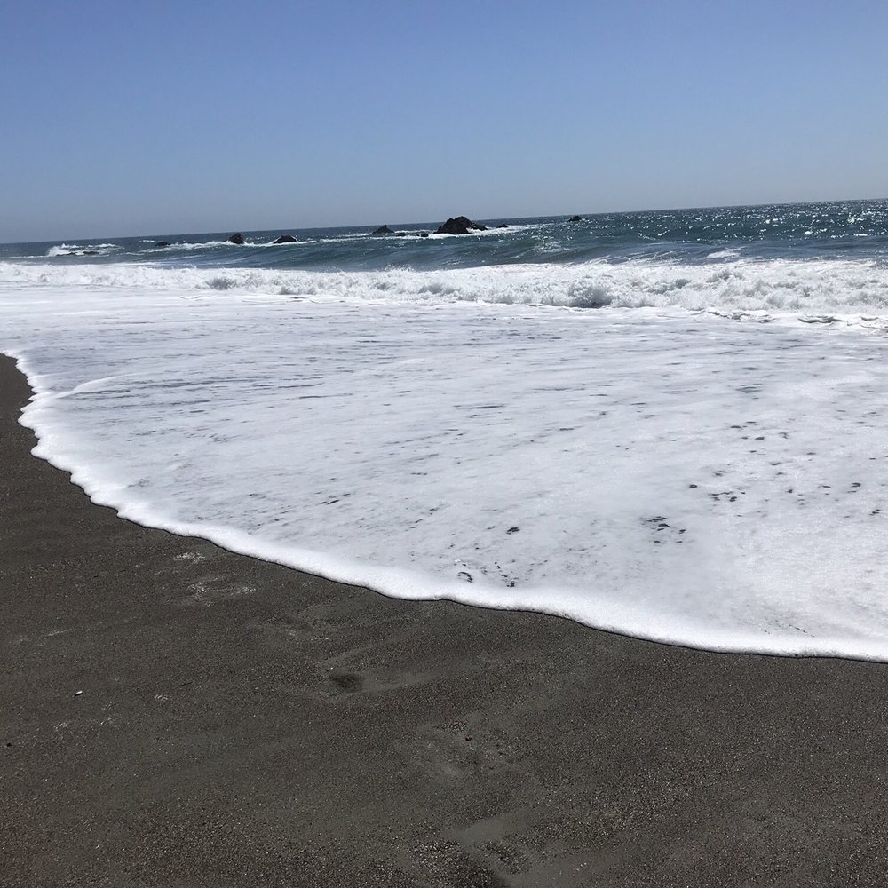 Portuguese Beach - Beautiful Portuguese Beach! - Beaches Near Me - Bodega Bay, California Portuguese Beach - Beautiful Portuguese Beach! - Beaches Near Me - Bodega Bay, California