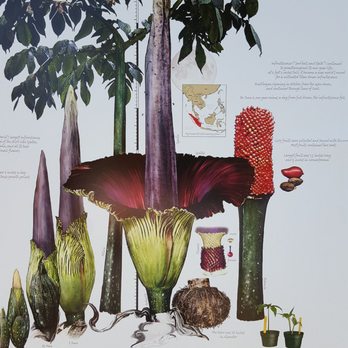 Greater Des Moines Botanical Garden - Informed of the plants - Botanical Gardens Near Me - Des Moines, Iowa Greater Des Moines Botanical Garden - Informed of the plants - Botanical Gardens Near Me - Des Moines, Iowa