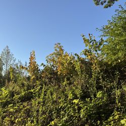 Big Bay Park