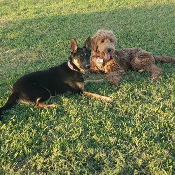 Westwillow Park - Dog Parks Near Me - Houston, Texas
