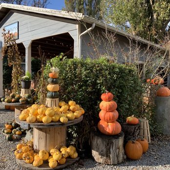Gordon Skagit Farms - Fruits & Veggies Near Me - Mount Vernon, Washington Gordon Skagit Farms - Fruits & Veggies Near Me - Mount Vernon, Washington
