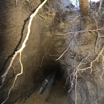 TrenchFree - Underground Drilling with a lot of roots - Plumbing Near Me - San Jose, California TrenchFree - Underground Drilling with a lot of roots - Plumbing Near Me - San Jose, California