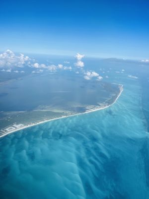 Dolphins Beach by null