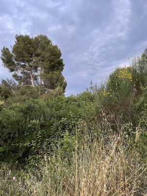 AC Hotel Sant Cugat by null