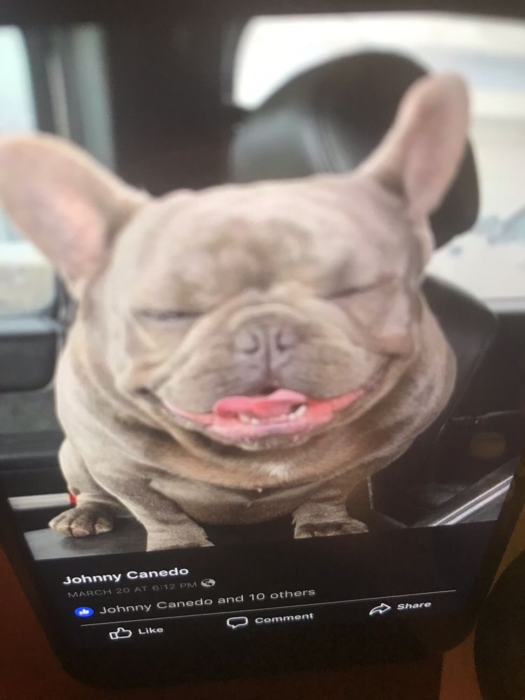 BEST FRIENDS THRIFT SHOP 8 Raymond St, Potsdam, New York Thrift