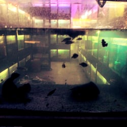 Acuario Waroo