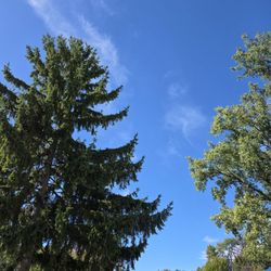 McKinley Barrier Free Park