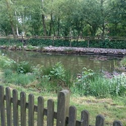 Cafe Alte Wassermühle - Teich vor dem Haus