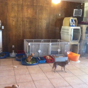 Man's Best Friend - Indoor w air conditioning! - Pet Sitting Near Me - El Centro, California Man's Best Friend - Indoor w air conditioning! - Pet Sitting Near Me - El Centro, California