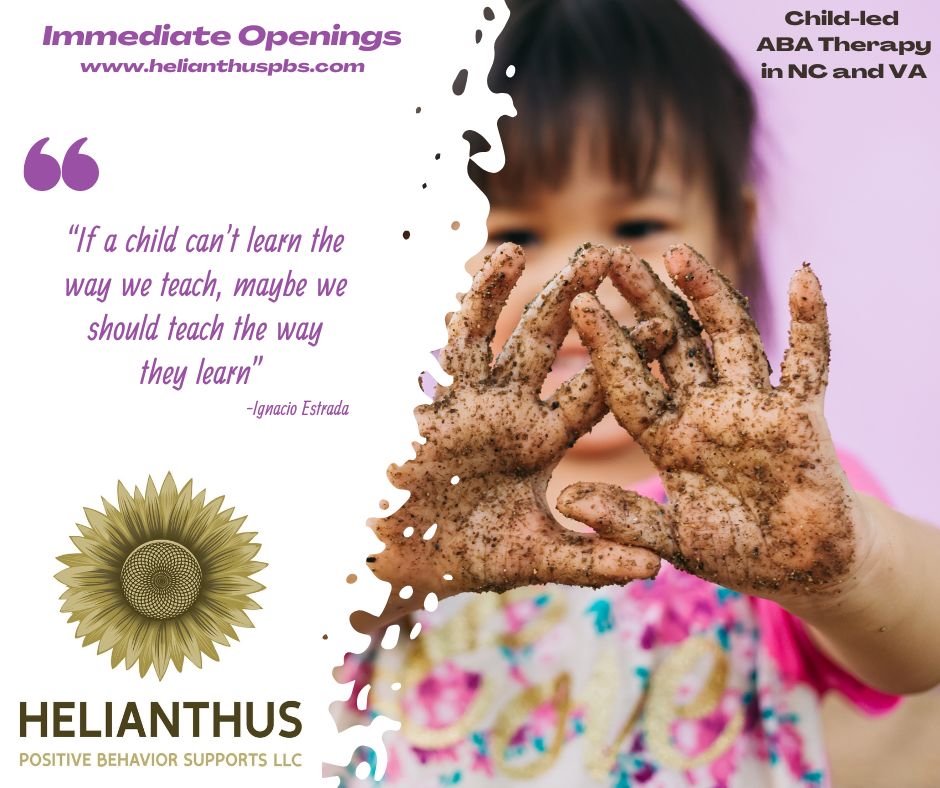 Helianthus Positive Behavior Supports - child therapist in Chesapeake, VA