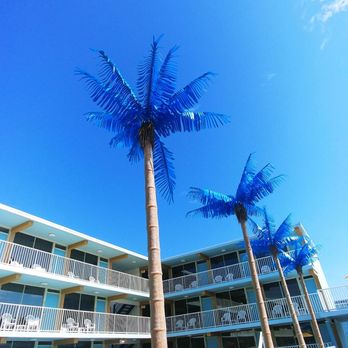 Blue Palms - Hotels Near Me - Wildwood, New Jersey