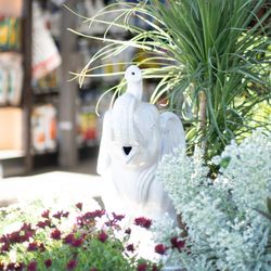 SummerWinds Nursery - Country Club - White ceramic elephant with a variety of plants.