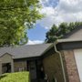 Photo of Your Neighbor Steve Property Care
