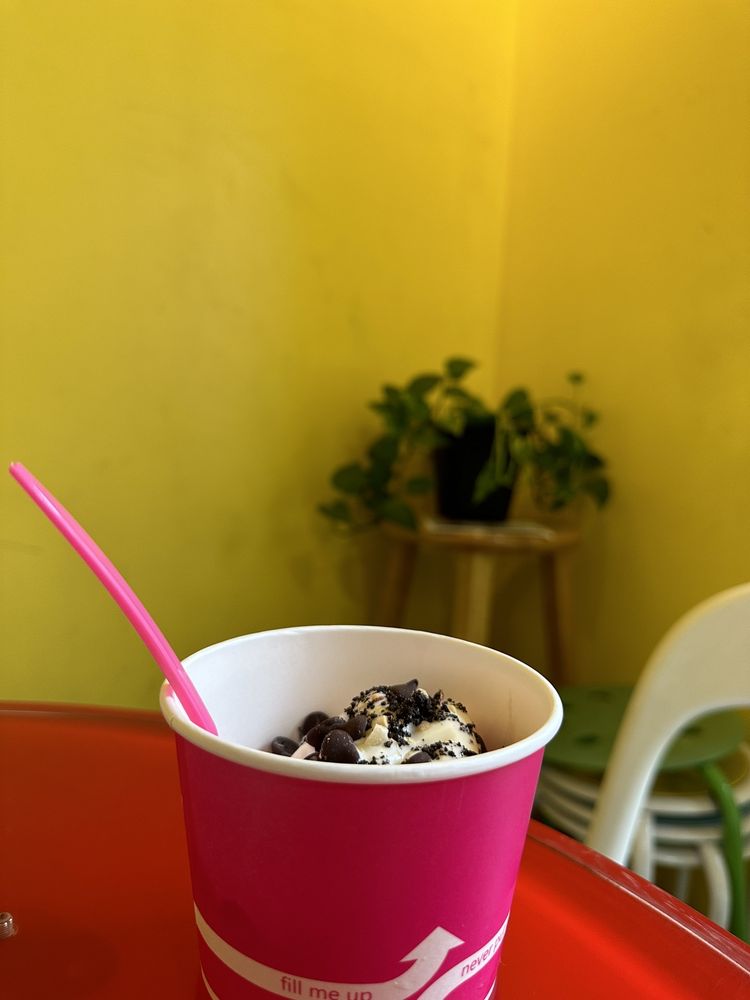 BERRY FRESH FROZEN YOGURT Updated September 2024 68 Photos & 14 Reviews 1717 Murray Ave