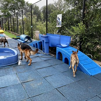 Jackson Bark - Dog Parks Near Me - Chicago, Illinois