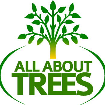All About Trees - Tree Services Near Me - Gilbert, Arizona