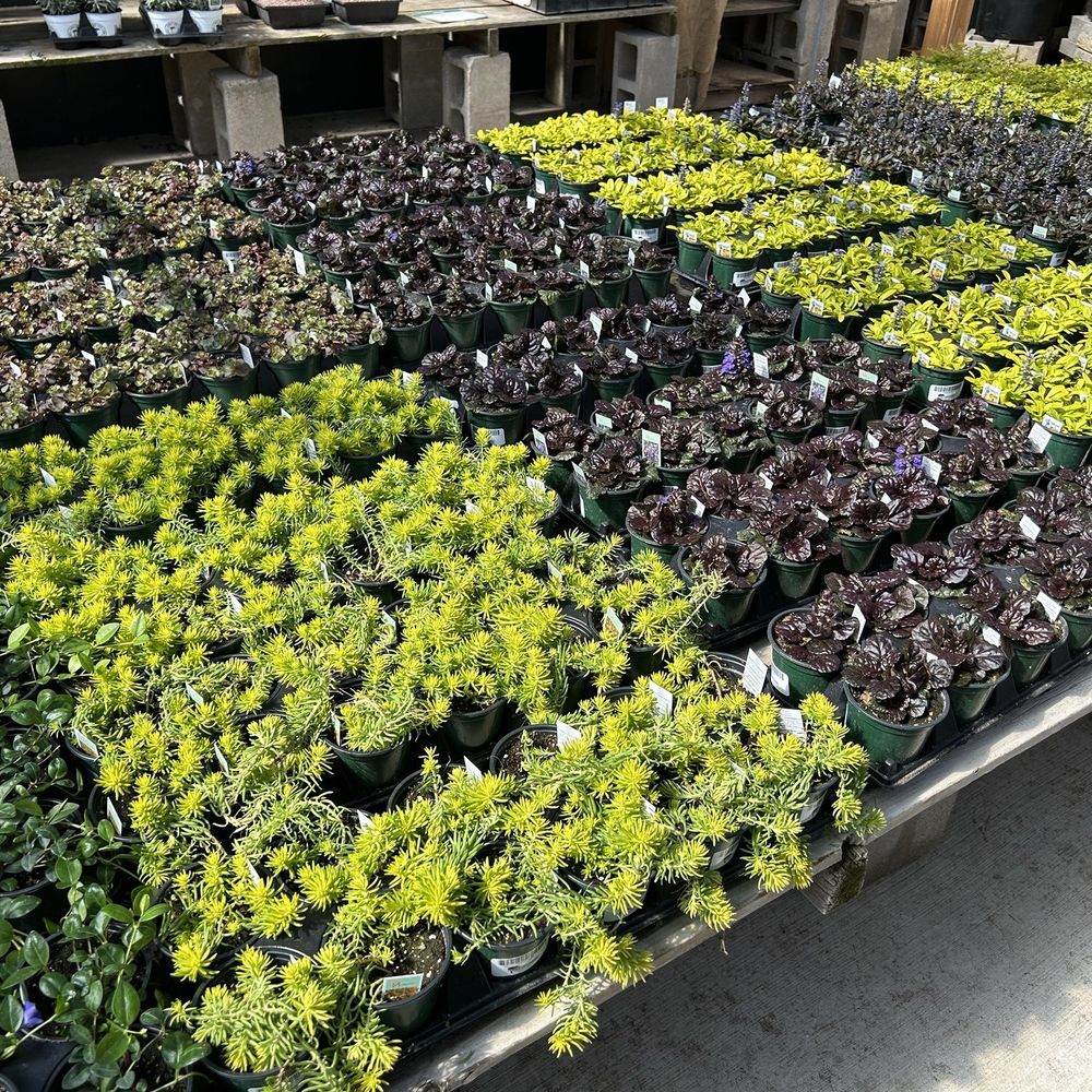 Café Equinox - Home & Garden Near Me - Shawnee, Kansas