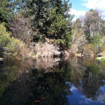 Denver Botanic Gardens - Peaceful Japanese garden - Botanical Gardens Near Me - Denver, Colorado Denver Botanic Gardens - Peaceful Japanese garden - Botanical Gardens Near Me - Denver, Colorado