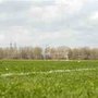 Photo of Hackney