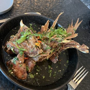 Rooster & the Till - Local Crispy Cobia Collar Plate - New American Near Me - Tampa, Florida