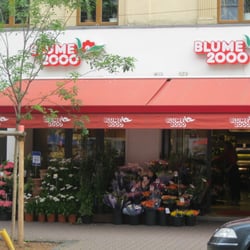Blume 2000