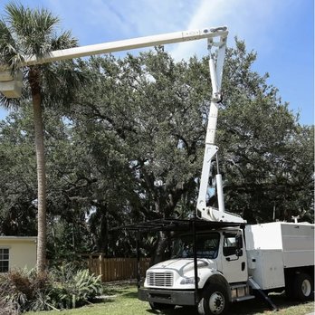 Gold Palm Solutions - Tree Services Near Me - Palmetto, Florida Gold Palm Solutions - Tree Services Near Me - Palmetto, Florida