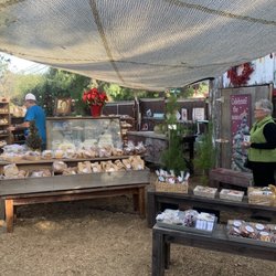 Brick N Barn - Jane's Kitchn! Delicious baked goods!