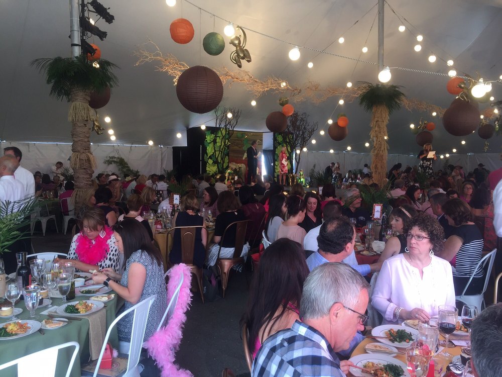 Catwalk For A Cure - social services organization in Santa Rosa, CA