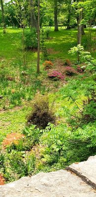 Delaware Park by null