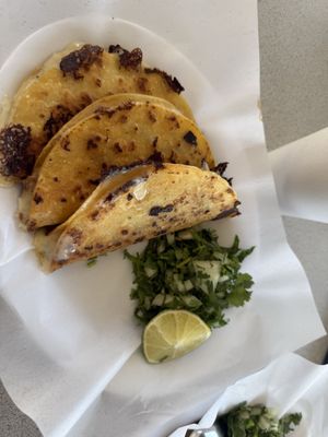 Taquito Aviles by null
