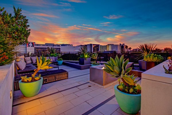 Fiona WeHo Apartments by null