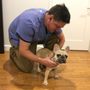 Photo of At Home Veterinary
