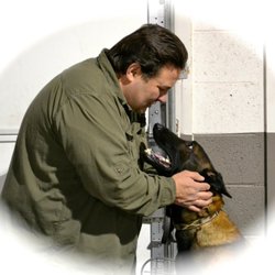 Michigan Dog Training - Michael and his dog Sonic adore each other and rewards Sonic with an neck massage for a well done jog on the treadmill.