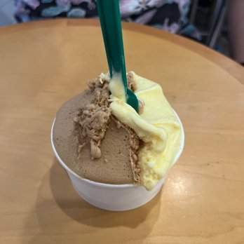 Dolce - Espresso and vanilla - Ice Cream & Frozen Yogurt Near Me - Boston, Massachusetts
